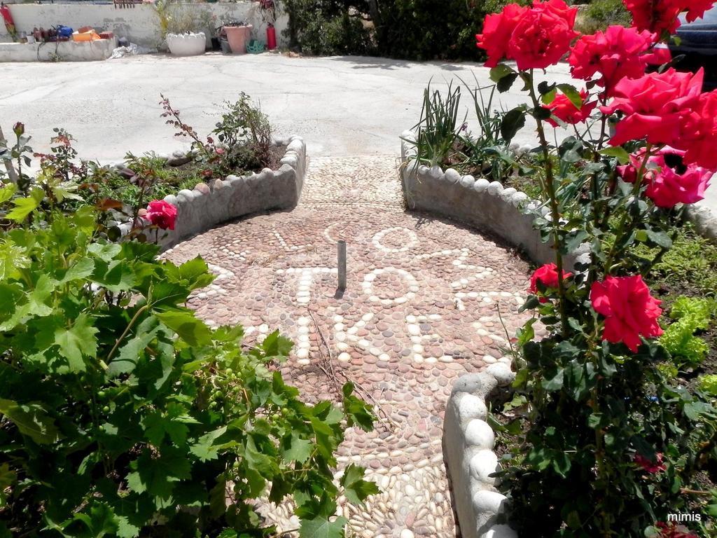Mihalis Studios Lakki  Bilik gambar