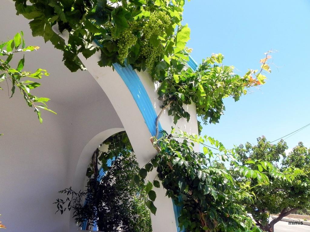 Mihalis Studios Lakki  Bilik gambar