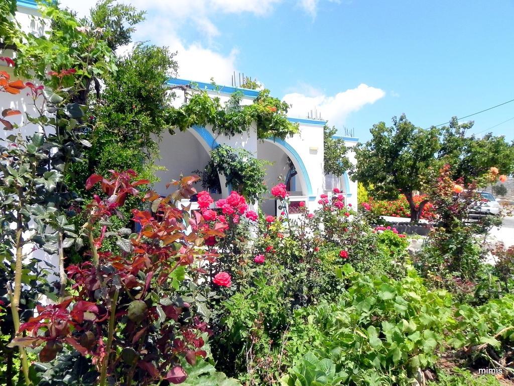 Mihalis Studios Lakki  Bilik gambar