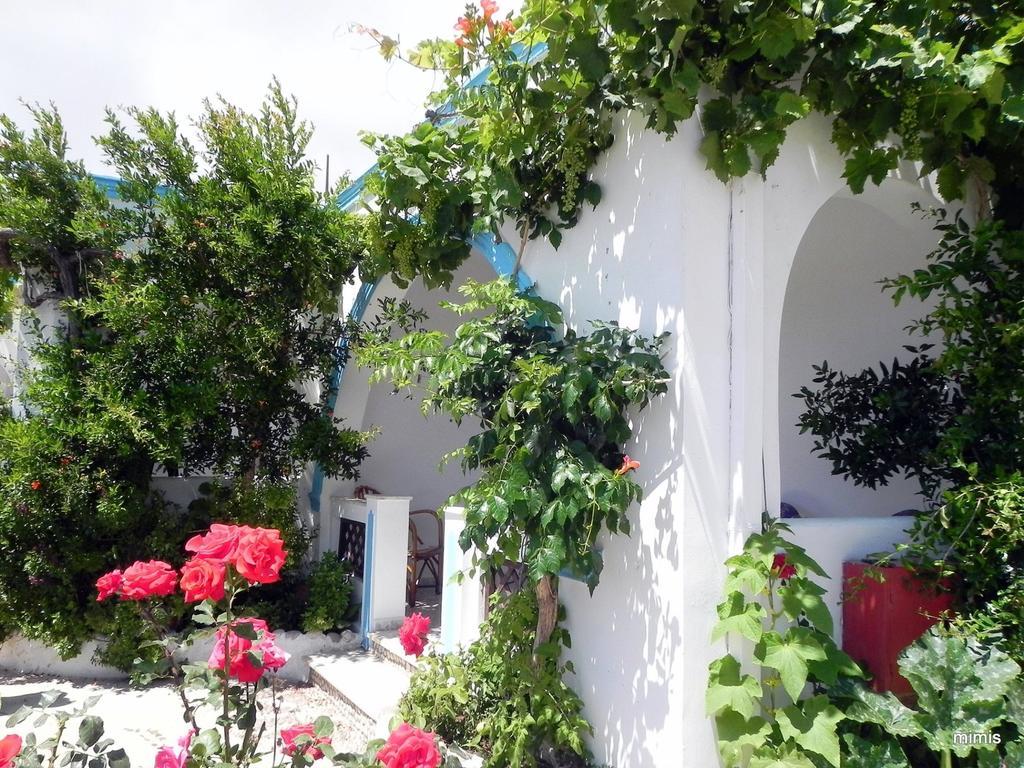 Mihalis Studios Lakki  Bilik gambar